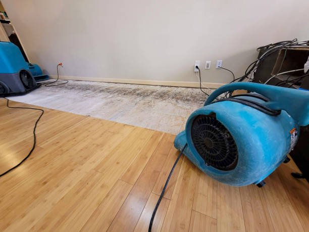 Professional Flood Damage Cleanup technician working in Cochranville, PA